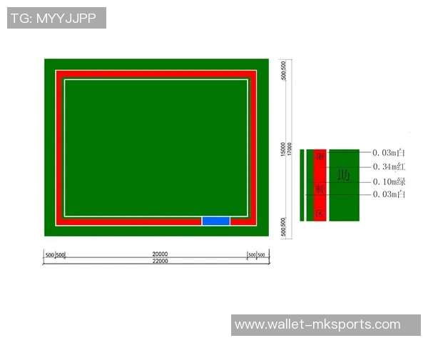 小型足球场尺寸标准及其对比赛和训练的影响分析